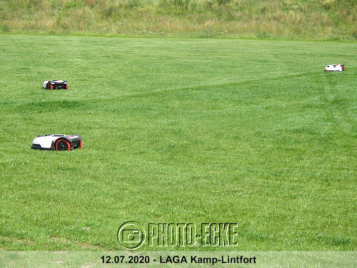 030.jpg