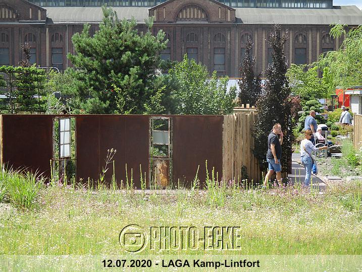 031.jpg